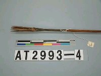 藏品(四鏃竹箭)的圖片